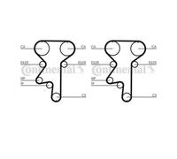 2x Continental Ctam CT871K1 Dentate Anteriore Inferiore per Opel Astra F Cc lada