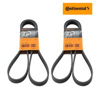 Conti 6PK1555 Cinghia Scanalata per BMW 3er 5er Escort Focus Volvo Transporter V