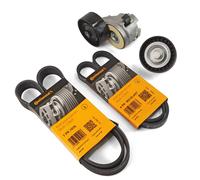 2x Contitech Cinghia Scanalata + Ruoli per Fiat Ducato 250 244