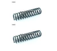 CS Germany Molla Frontale per Mercedes-Benz Modello T Coupé Saloon