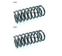 2x Cs Germania 14.319.854 Molla Posteriore per Mercedes-Benz W123 S123 C123