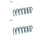 CS Germany Molla di Sospensione Molle IN Serie Posteriore per Ford Grand Pesanti