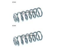 2x Cs Germania 14.872.816 Molla di Sospensione Posteriore per Toyota Avensis T25