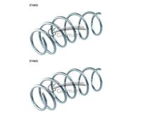 2x Cs Germania 14.874.400 Molla Frontale per Citroën C4 Cactus Peugeot 208