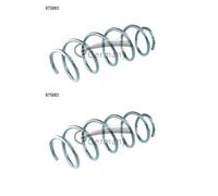 2x Cs Germania 14.875.883 Molla Frontale per Citroën C3 II Sc C3 III