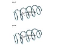 Cs Germania 14.950.125 Molla Frontale per Audi A3 8P1 VW Golf V 1K1