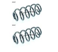 2x Cs Germania 14.950.307 Molla di Sospensione Frontale per Seat Exeo 3R2 Pezzi