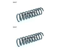 CS GERMANIA 14.504.197 Molla Del Sospensione Posteriore Per Ford Kuga I