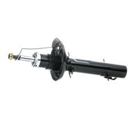 2x DACO Germany Ammortizzatore Anteriore A pressione del gas Ammortizzatori