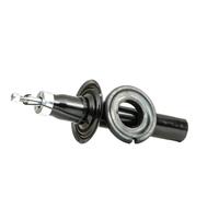 2x DACO Germany Ammortizzatore Anteriore A pressione del gas Ammortizzatori