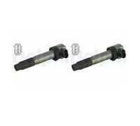 2X Delphi GN10530-12B1 Bobina Di Accensione Per Opel Agila (B) H08