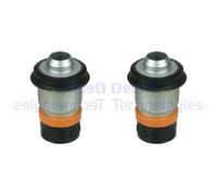 2X DELPHI Supporto Achskörper Per Renault Scénic II JM0/1_ Megane EM0/1_ KM0/1_