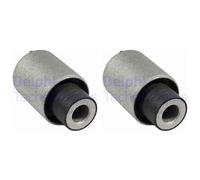 2x DELPHI Supporto Braccio Oscillante Posteriore per BMW 3er Compatta E46 316 Ti