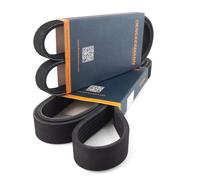2X DENCKERMANN Cinghie A V Per BMW 3 Serie E46 5 Serie E39 X3 E83 X5 E53