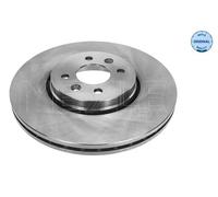 2x Disco freno Assale anteriore ventilato 16-15 521 0038 MEYLE per RENAULT