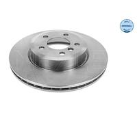 2x Disco freno Assale anteriore ventilato 315 521 3074 MEYLE per BMW X3