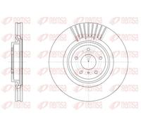 REMSA 61508.10 Disco freno