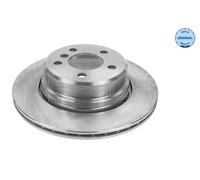 2x Meyle 315 523 0055 Disco Freno Posteriore per BMW E53 Ssangyong Rodius