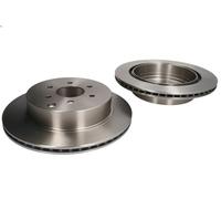 2X Disco freno DELPHI BG4174 NISSAN NAVARA NP300 (D40) 4 2004-2009