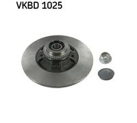 2x Disco freno pieno VKBD 1025 SKF per RENAULT MEGANE I Coach MEGANE I Cabriolet