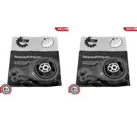 2X ESEN SKV Supporti Motore Doppio Per Peugeot 5008 307 CC 2.0 16V