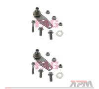 2x FAG 825 0258 10 Braccio Strutturale per Renault Clio II Nissan Kubistar