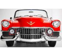 2x Faro Cadillac Eldorado Serie 62 Coupe El Dorado Conversione US Eu Tüv