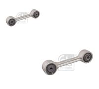2X FEBI BILSTEIN Barra Stabilizzatrice Posteriore Adatta Per BMW 3 Serie