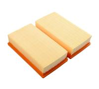 2x Filtri pieghettati piatti for Bosch GAS 35 L AFC GAS 35 L SFC+ GAS 35 M AFC Filtro motore aspirapolvere Pulizia spazzatrice domestica