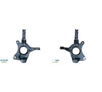 2x Fusi di sterzo BUGIAD Davanti S+D per DACIA DUSTER (HS_), DUSTER Furgon/SUV