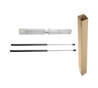 2X Gasfeder Dämpfer Motore Per VW New Beetle 9C 1C 1998-2010 Schrägheck