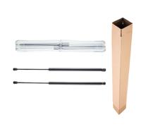 2X Gasfeder Posteriore Per Renault Megane Scenic I JA0/1 MPV 97-03 7700828454