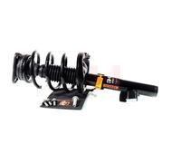 2X GH Ammortizzatore Anteriore Destro Sinistro Compatibile Per Ford Kuga I