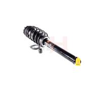2X GH Ammortizzatore Anteriore Destro Sinistro Per Smart Cabrio 450 0.6 0.8 CDI