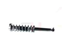 2x GH Coilover Asse Posteriore Destro SX Adatto A per BMW 5er E39 523i