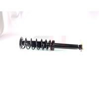 2x GH Coilover Asse Posteriore Destro SX Adatto A per BMW 5er E60 520i 525d