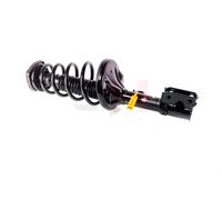 2x GH Coilover Asse Posteriore Destro SX per Kia Sportage Je _ 2.0i 16V 2.0
