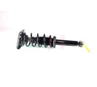 2x GH Coilover Asse Posteriore Destro SX per Nissan Primera Hatchback P12 1.8