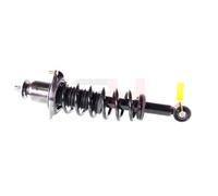 2x GH Coilover Asse Posteriore Destro SX per Toyota Corolla Verso _E12_ 1.6