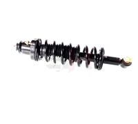 2x GH Coilover Asse Posteriore Sinistro Destro per Mitsubishi Outlander I Cu _W
