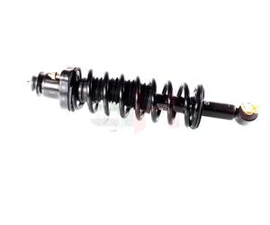 2x GH Coilover Asse Posteriore Sinistro Destro per Mitsubishi Outlander I Cu _W