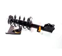 2x GH Coilover Destra Asse Anteriore Sinistro Adatto A per Citroën DS5