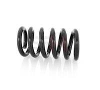 GH Molla Anteriore Adatto A per Ford Transit Scatola E _ 2.5 Di