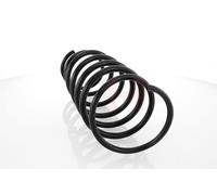 2x GH Molla Posteriore Sinistra Destra per Renault Safrane II B54_