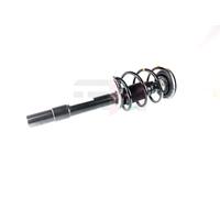 2x GH Sospensioni Asse Anteriore Dx SX per BMW 5er Touring E39 530d 530i
