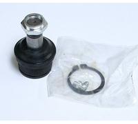 2X Giunti Inferiori Dodge Ram 1500, Ram 2500, Ford Bronco, F-100, F-150