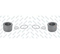 2x GSP Set Cuscinetti Posteriore Sinistra Destra per Renault Master III Scatola