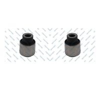 2x GSP Supporto Braccio Oscillante Frontale per Peugeot 106 II 1A_ 1C_ Citroën