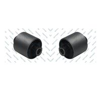 2X GSP Supporto Corpo Assale Posteriore Per Mazda Demio DW 1.3 16V