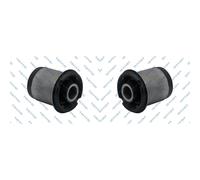 2x GSP Supporto Corpo Assale Posteriore Superiore Interno per Nissan x-Trail T30